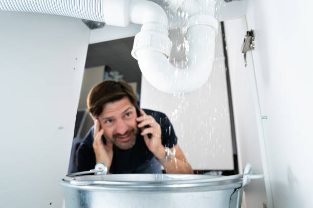 Best Same-Day Plumbing Service  in St Charles, MN